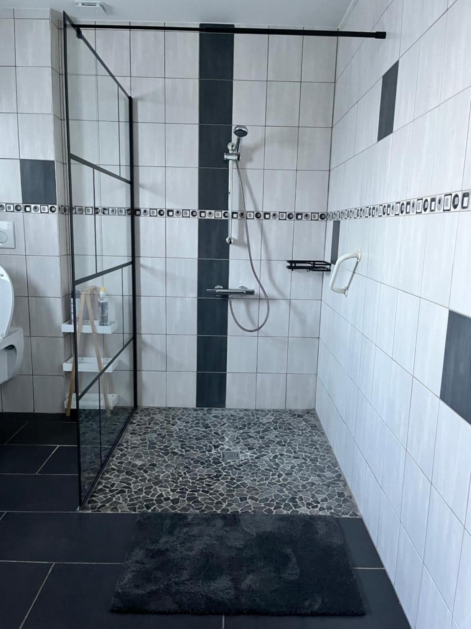 הוילה סן-ז'אן-אן-רוייה Loft De 60 M2 מראה חיצוני תמונה